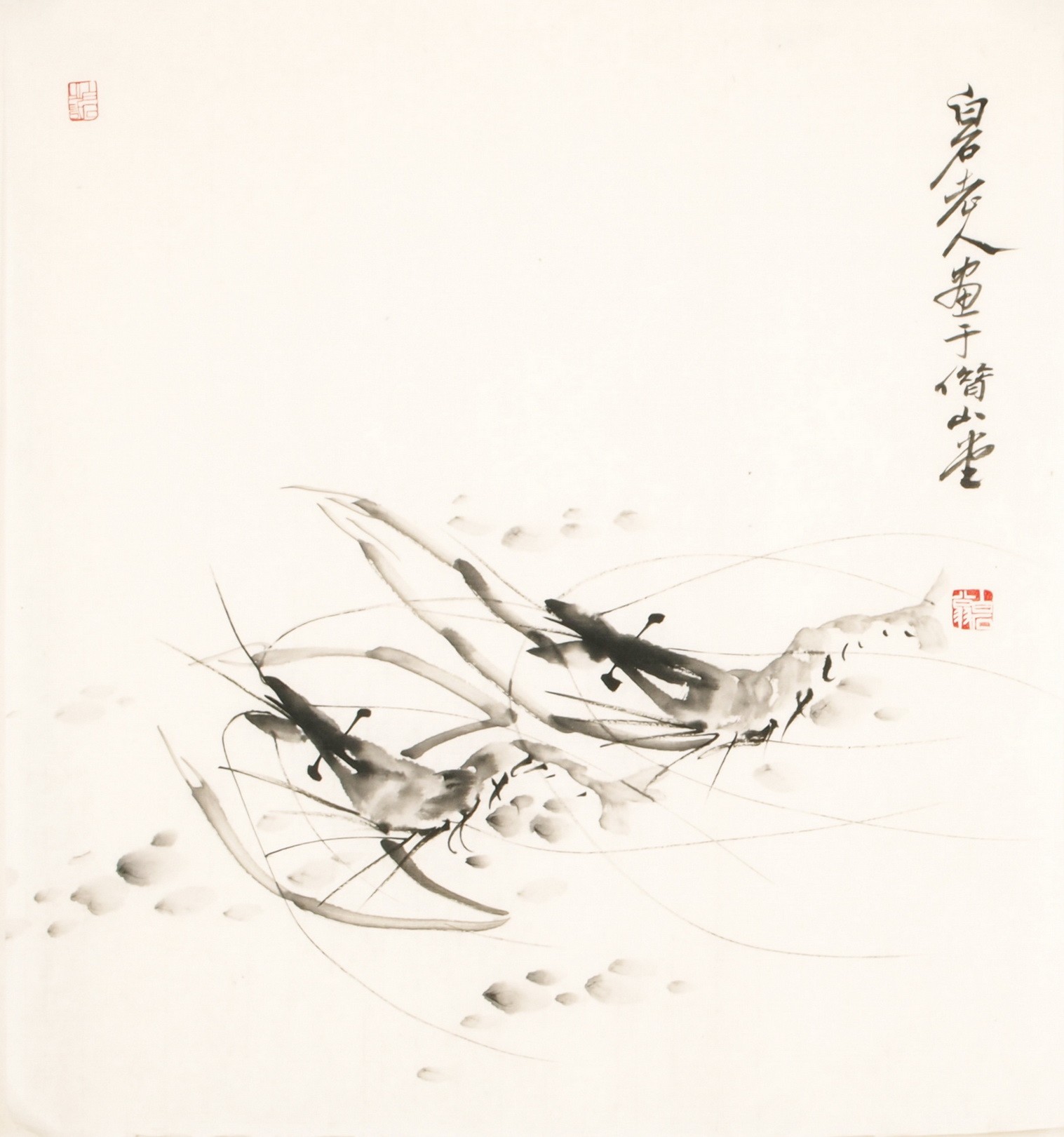 Shrimp - CNAG006075