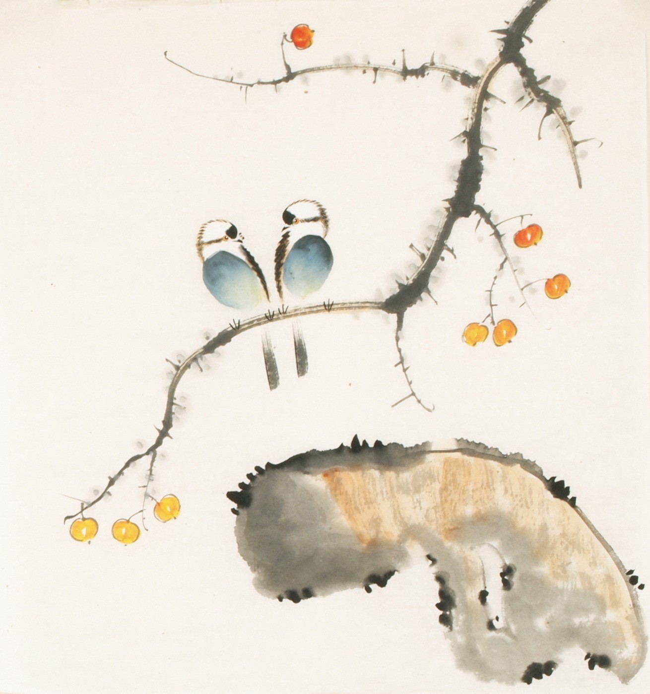Other Birds - CNAG006086