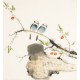 Other Birds - CNAG006087