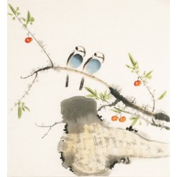 Other Birds - CNAG006087