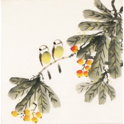 Other Birds - CNAG006088