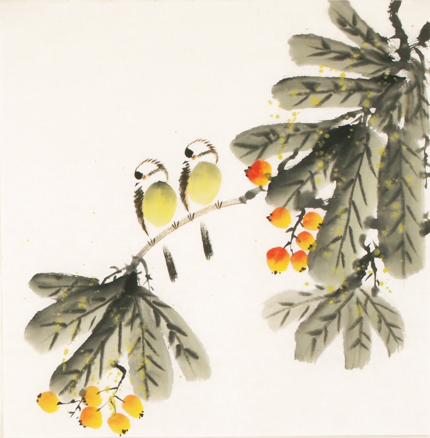Other Birds - CNAG006088