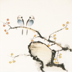 Other Birds - CNAG006089
