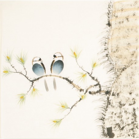 Other Birds - CNAG006093