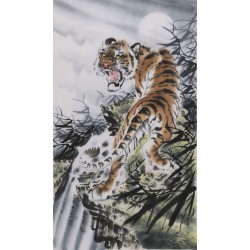 Tiger - CNAG000061