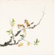 Other Birds - CNAG006096