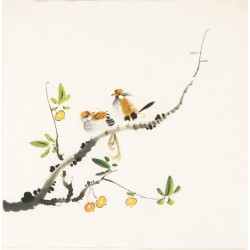 Other Birds - CNAG006096