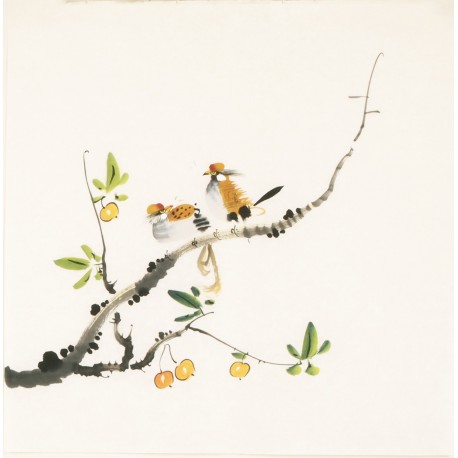 Other Birds - CNAG006096