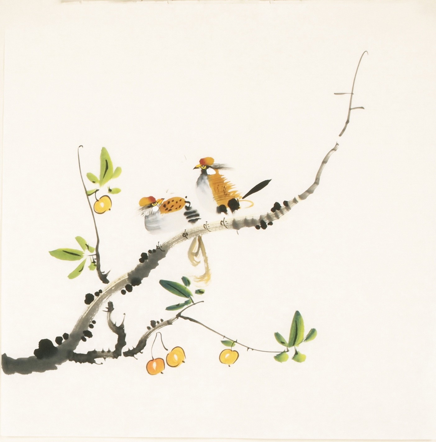Other Birds - CNAG006096