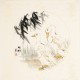 Other Birds - CNAG006109