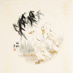 Other Birds - CNAG006109