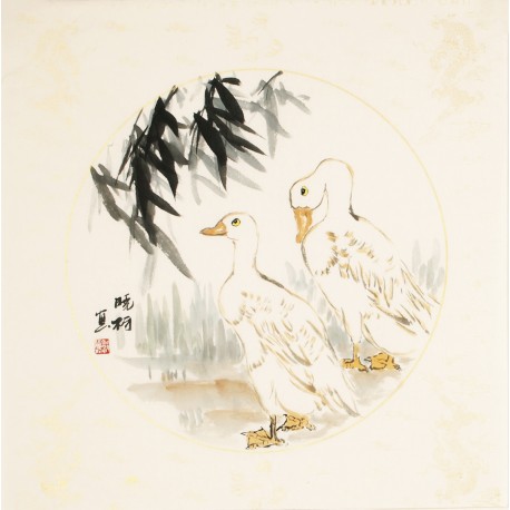 Other Birds - CNAG006109