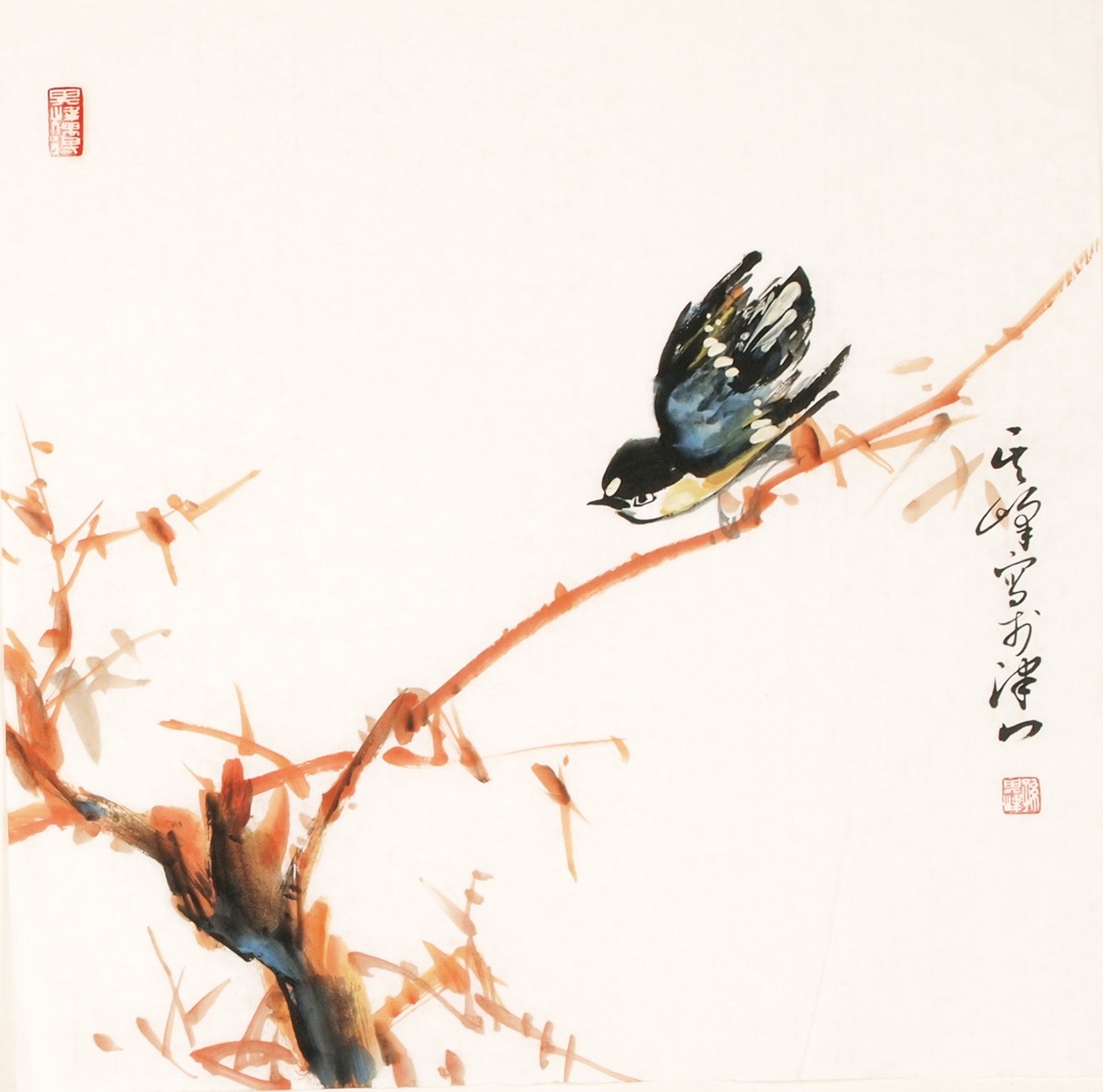Other Birds - CNAG006112
