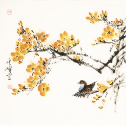 Other Birds - CNAG006114