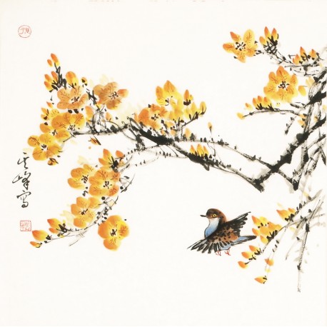 Other Birds - CNAG006114