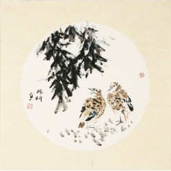 Other Birds - CNAG006115