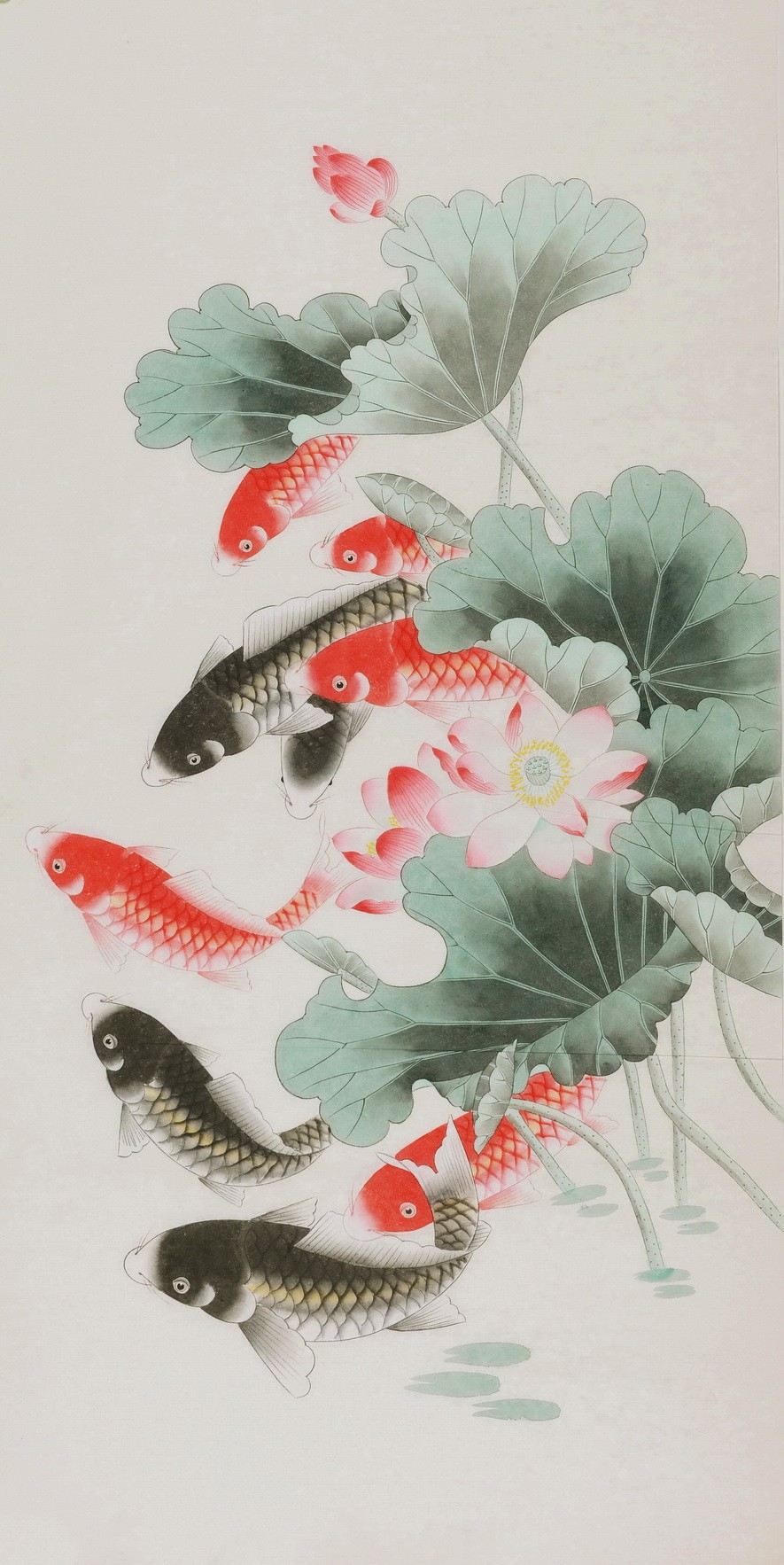 Fish - CNAG000612