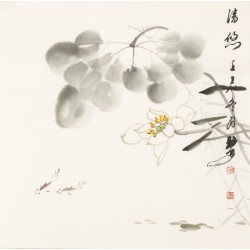 Fish - CNAG006121