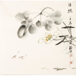 Fish - CNAG006122