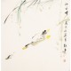 Fish - CNAG006123