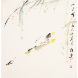 Fish - CNAG006123