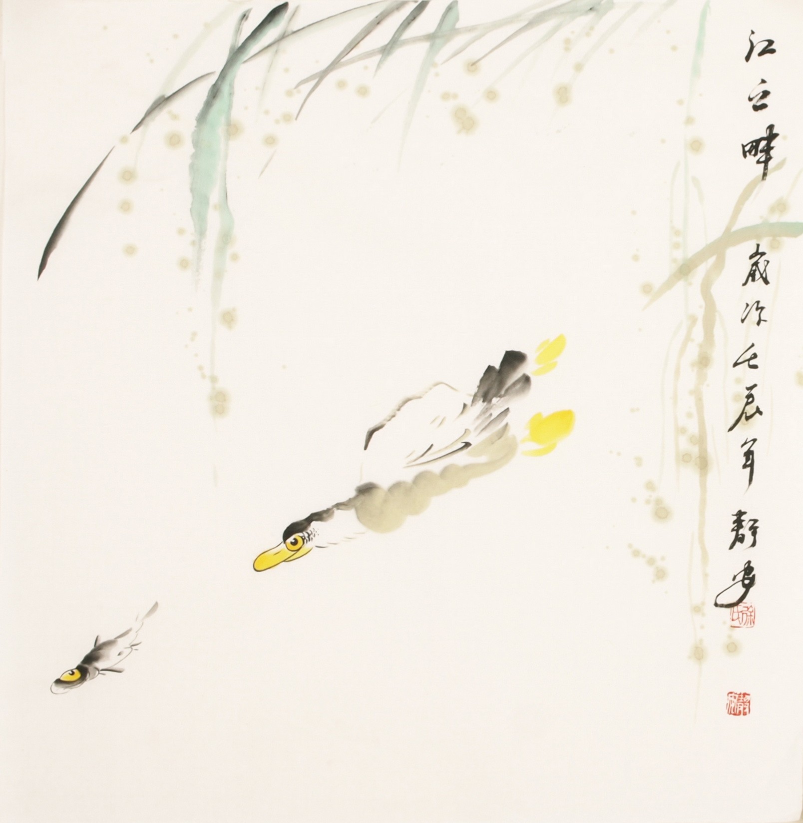 Fish - CNAG006123