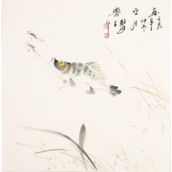 Fish - CNAG006124