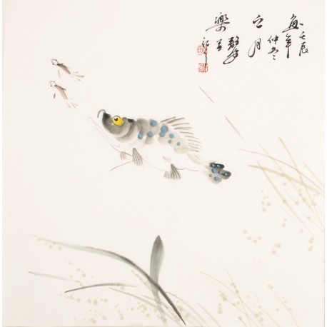 Fish - CNAG006124