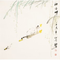 Fish - CNAG006126