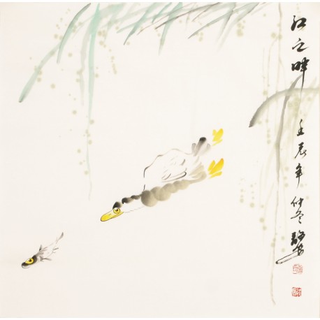 Fish - CNAG006126