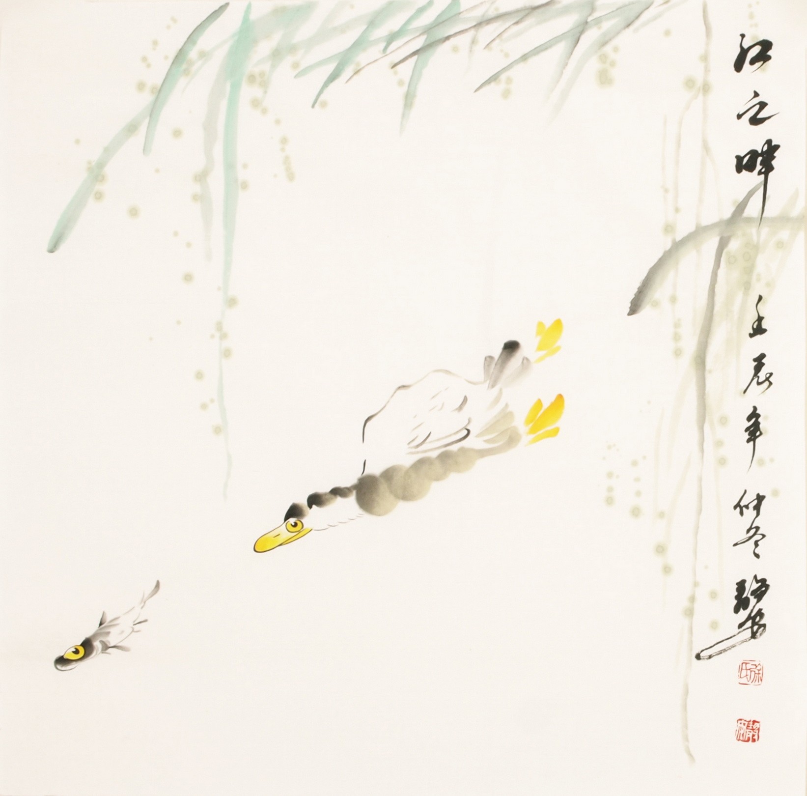 Fish - CNAG006126