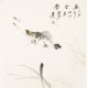 Fish - CNAG006127