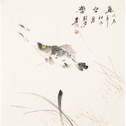 Fish - CNAG006127