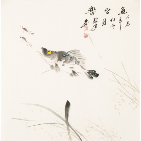 Fish - CNAG006127