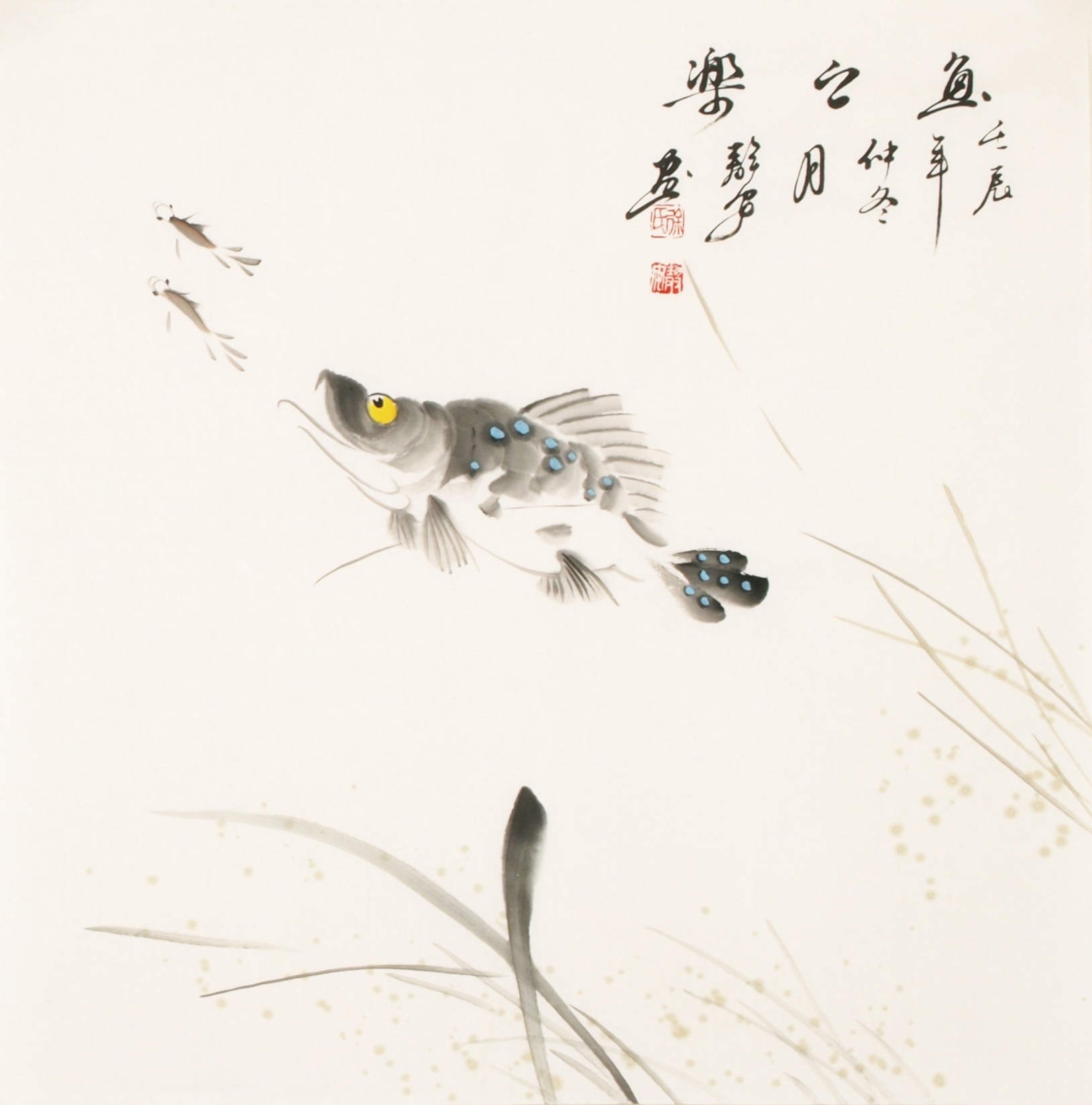 Fish - CNAG006127