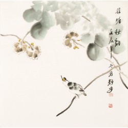 Lotus - CNAG006129