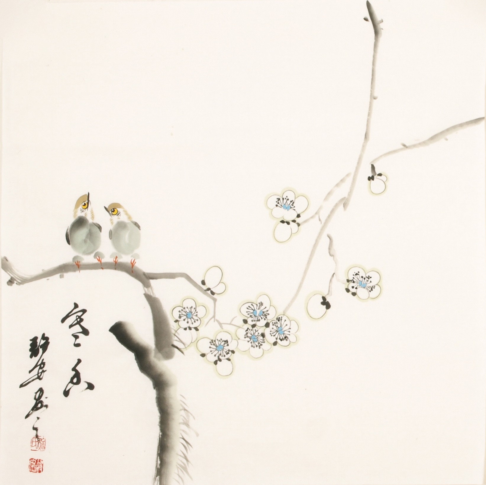 Plum - CNAG006130