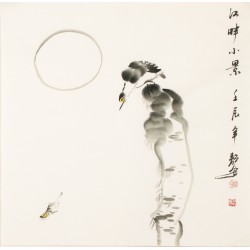 Fish - CNAG006132