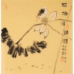 Lotus - CNAG006133