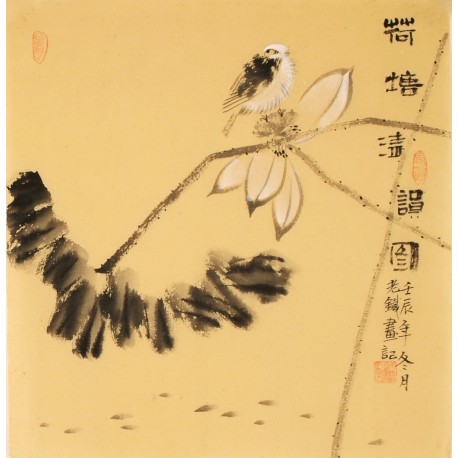 Lotus - CNAG006133