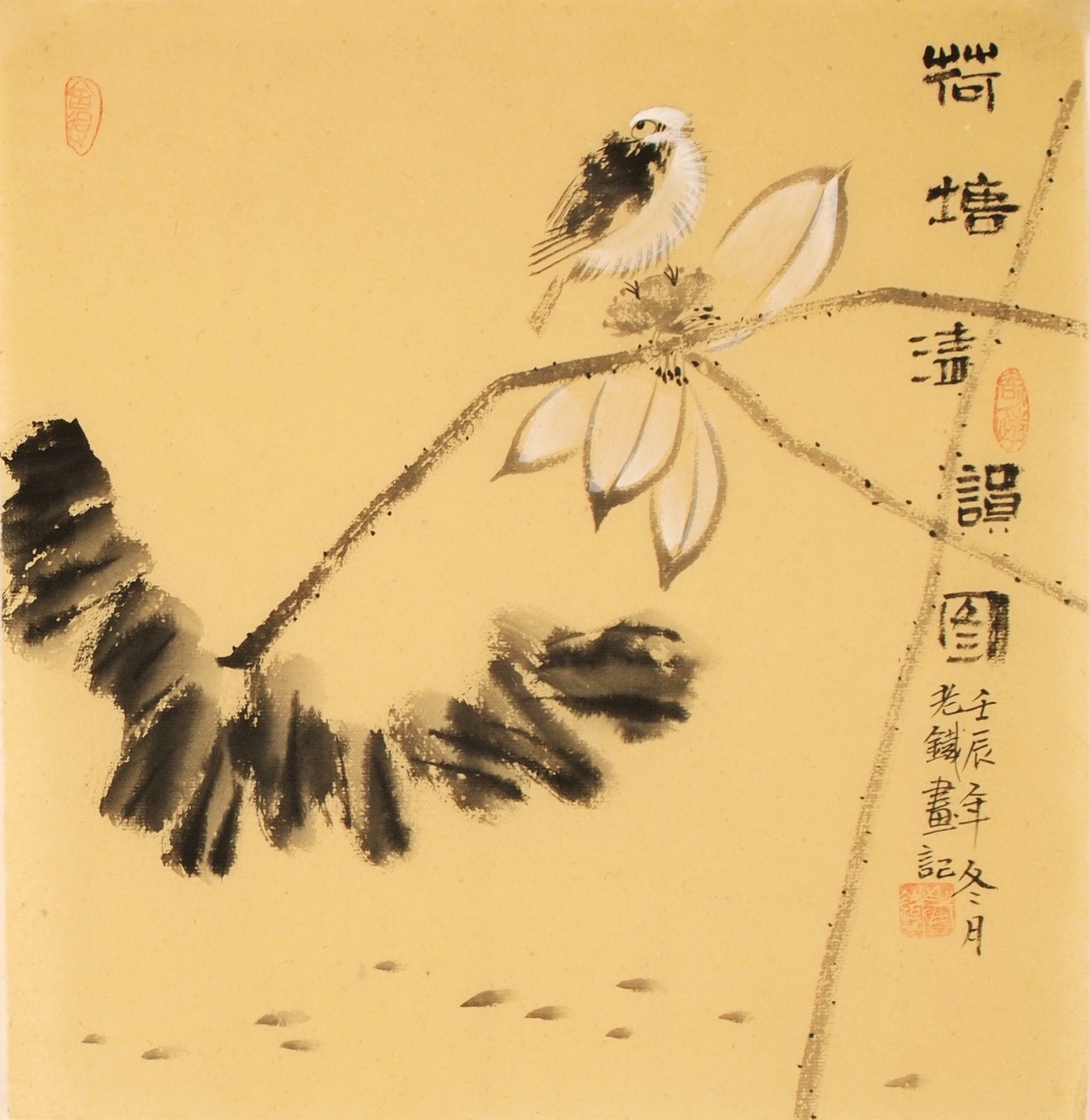 Lotus - CNAG006133