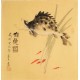 Fish - CNAG006137