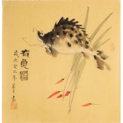 Fish - CNAG006137