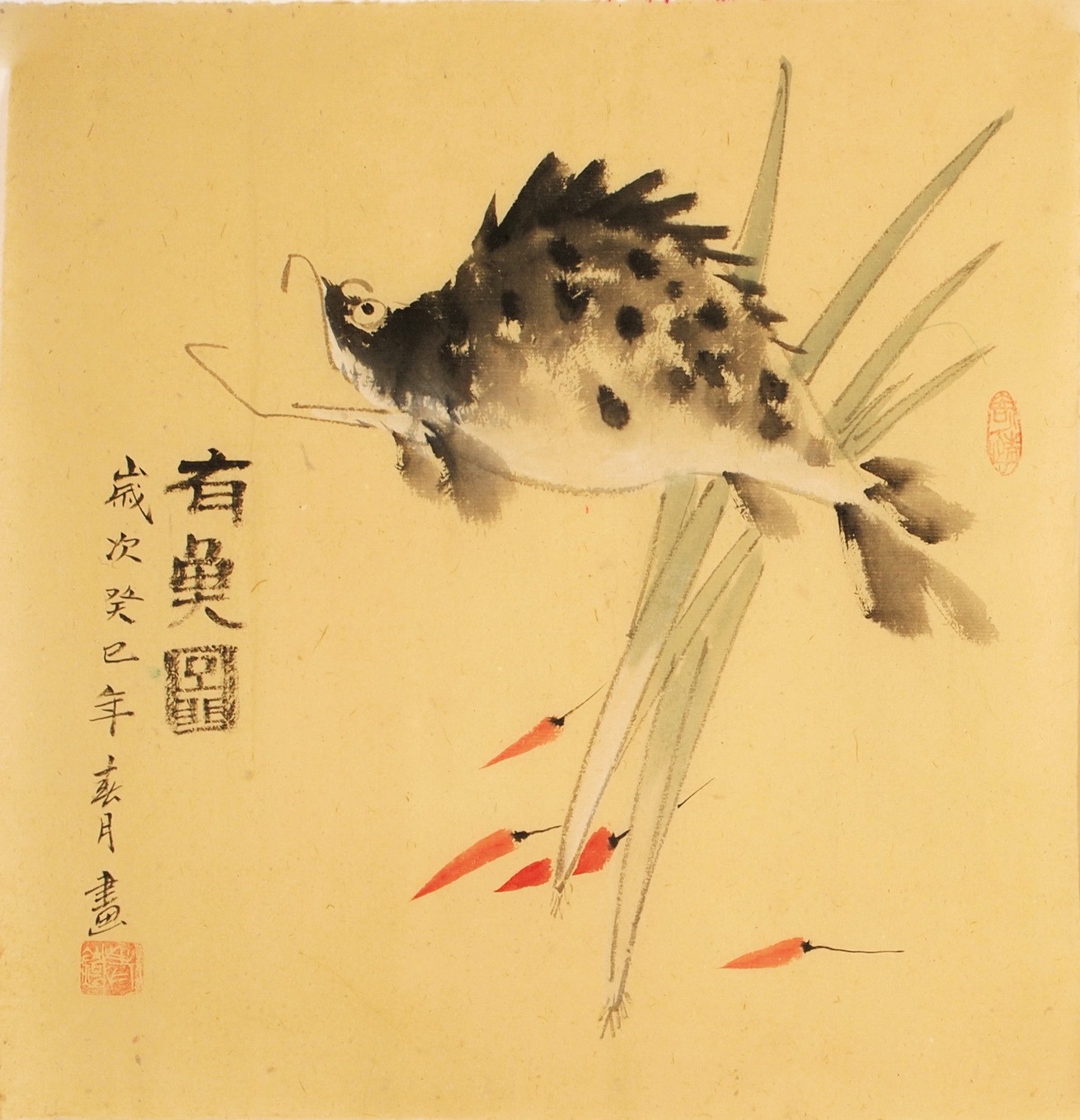 Fish - CNAG006137