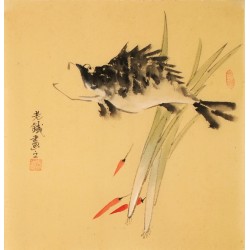 Fish - CNAG006140
