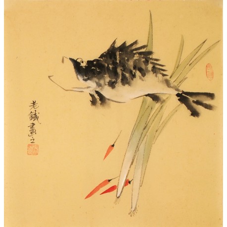 Fish - CNAG006140