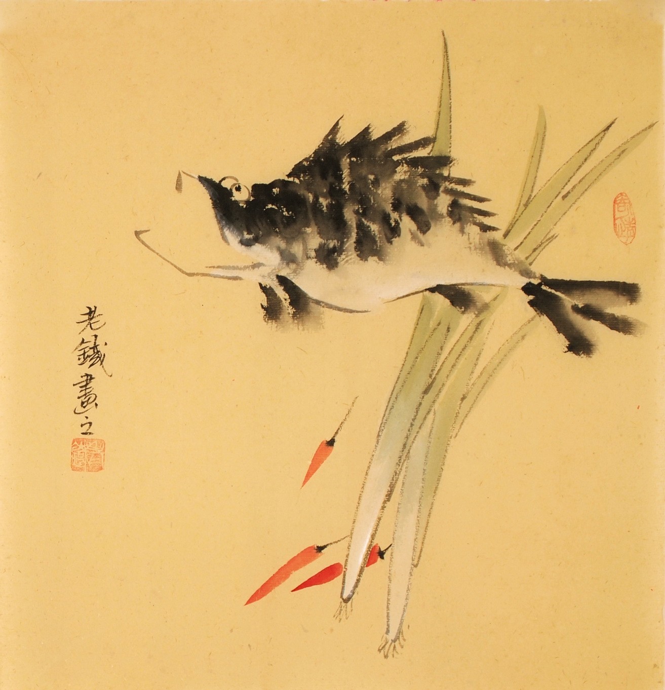 Fish - CNAG006140