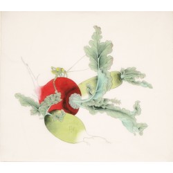 Other Birds - CNAG006142