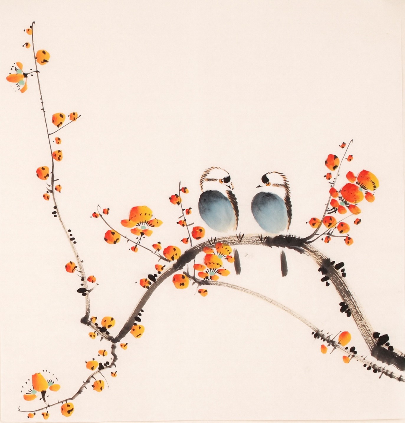 Plum - CNAG006144