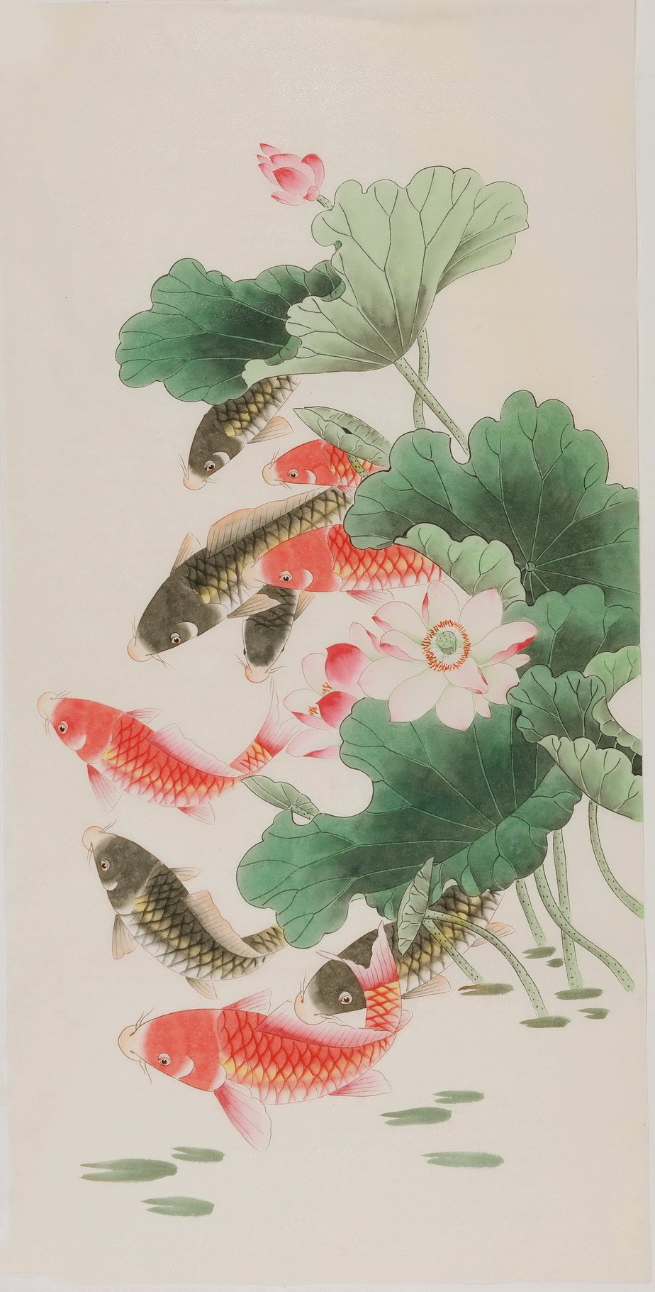Fish - CNAG000615